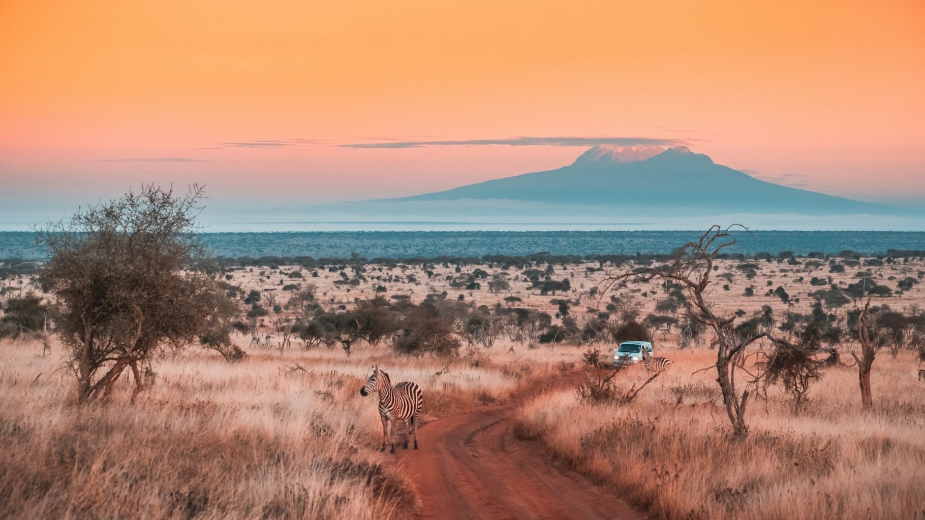 photo savane Kenya brousse et fond Kilimandjaro