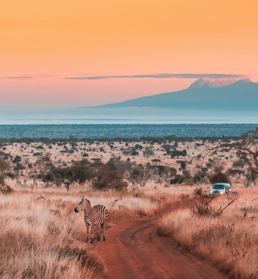 photo savane Kenya brousse et fond Kilimandjaro