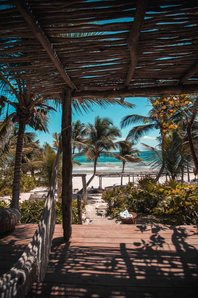 photo depuis beahclub en fond palmet et ocean Tulum Mexique