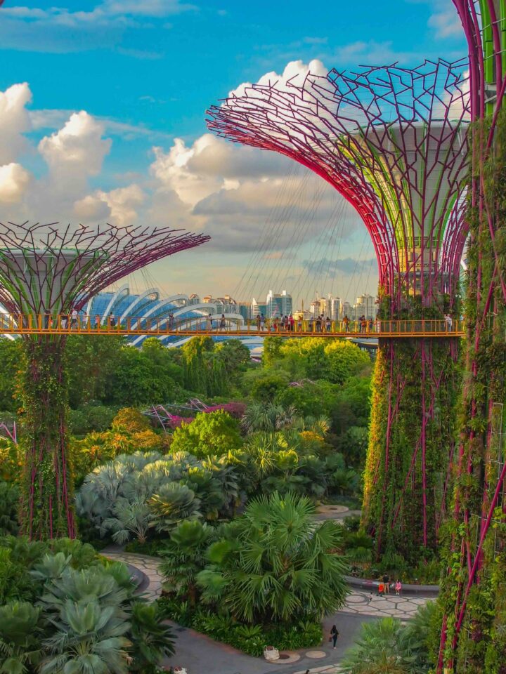 vue arbre métallique végétalisés dans verudre Singapour