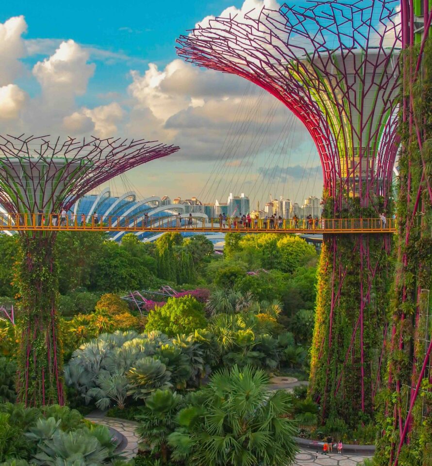 vue arbre métallique végétalisés dans verudre Singapour