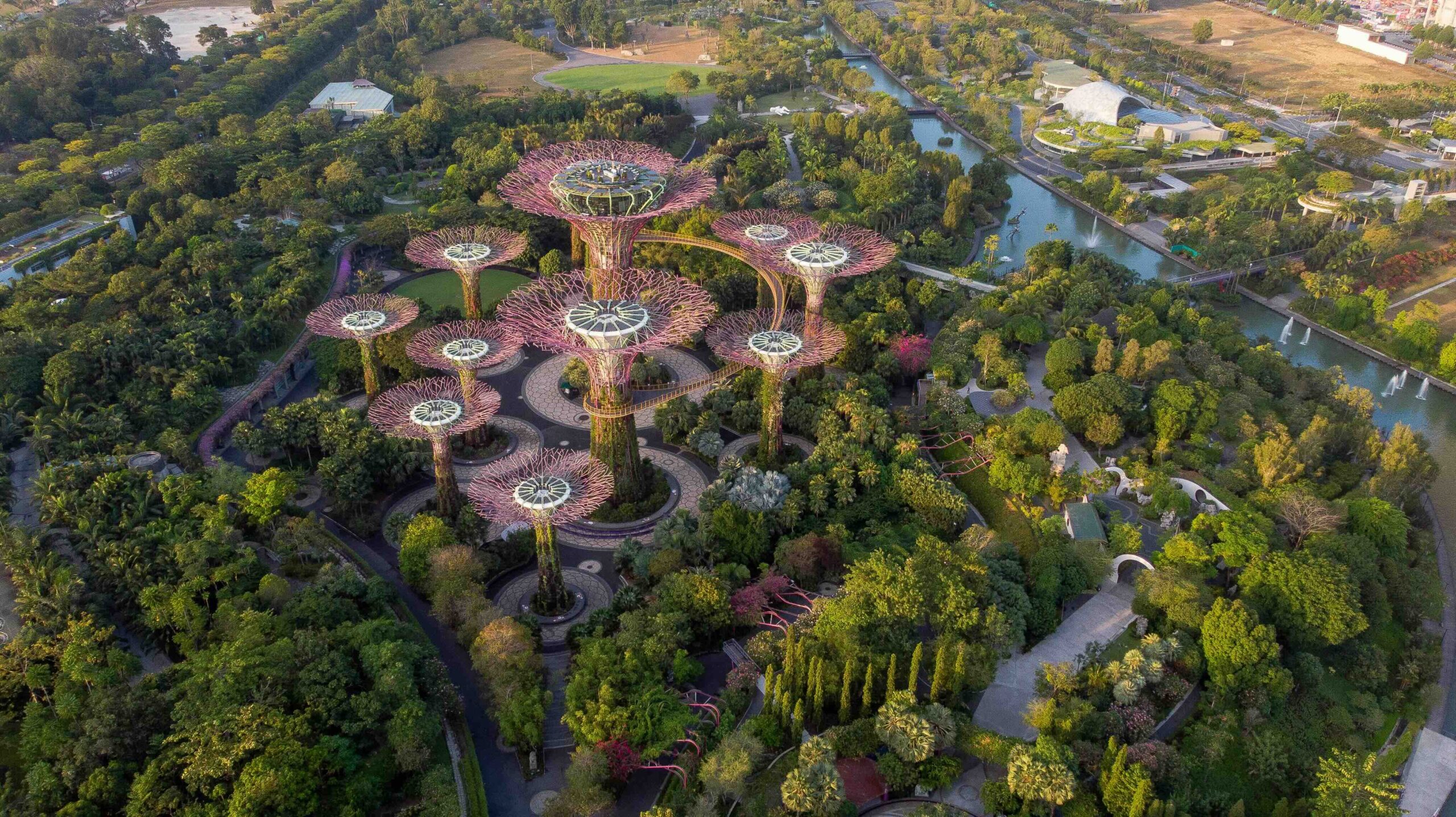 Vue aérienne Singapour arbre métalique dans verdure