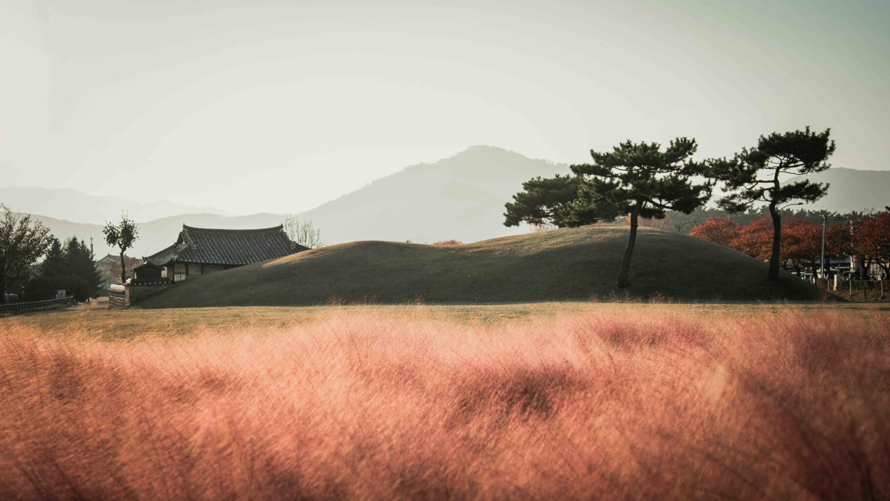 paysage Corée du Sud plaine montagne fond petite maison traditionnelle