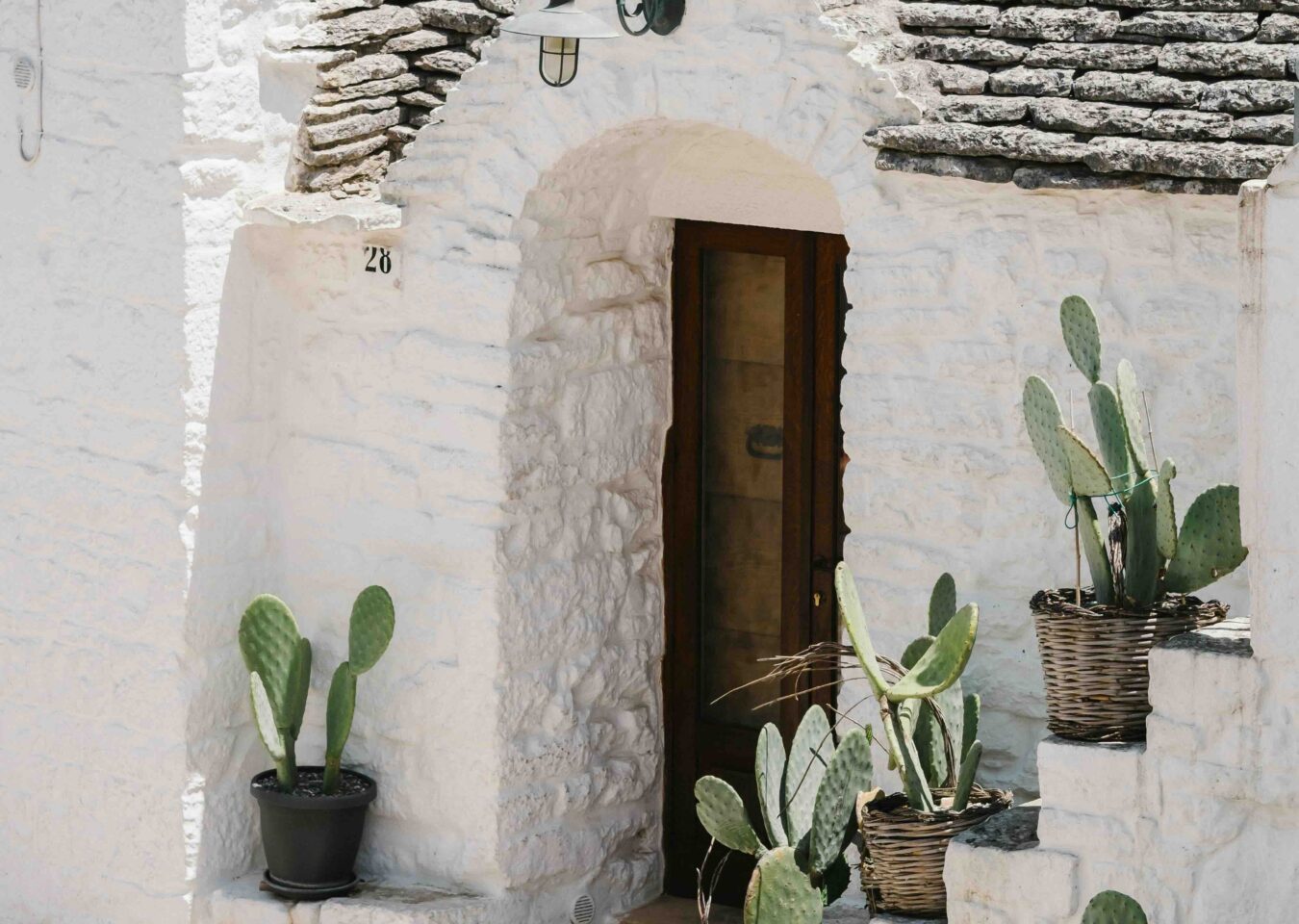 Devant de maison blanch Pouille Italie Cactus et porte en bois