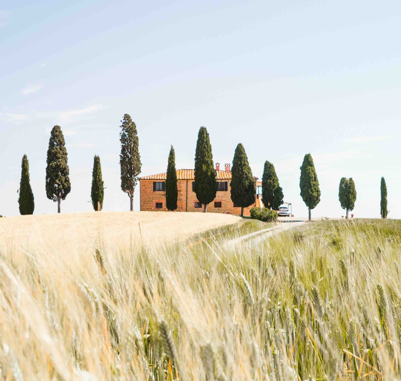 petite maison coline cypres champs toscane