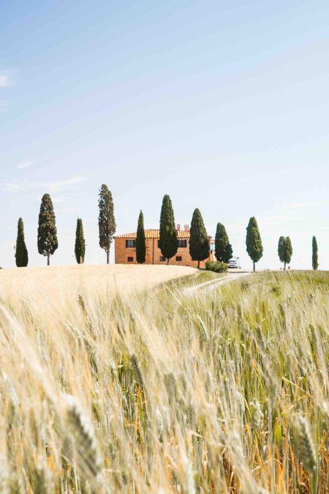 petite maison coline cypres champs toscane
