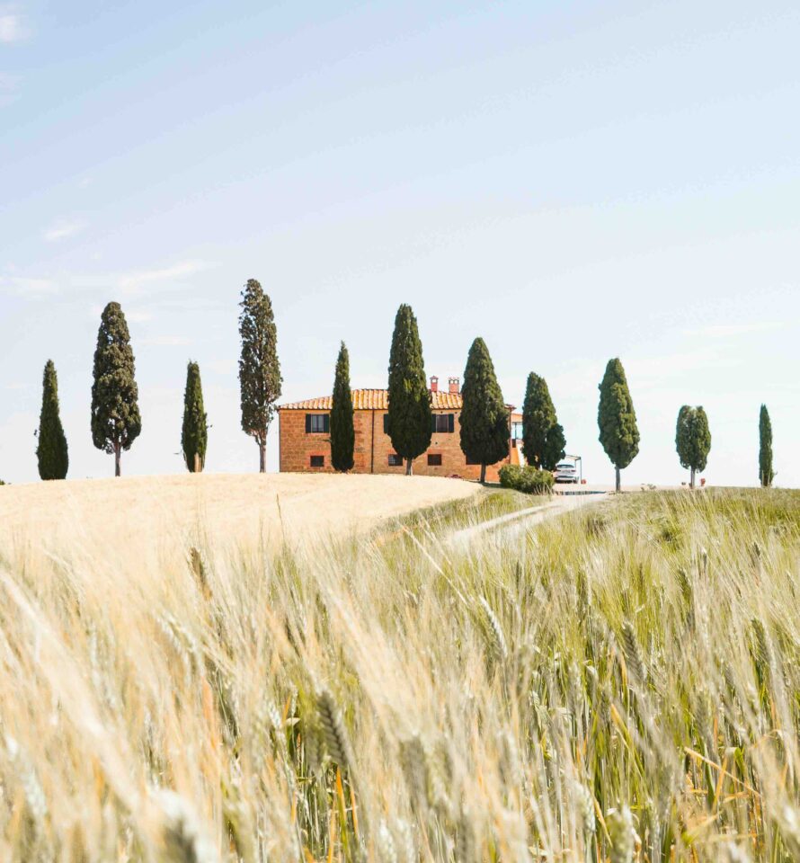 petite maison coline cypres champs toscane