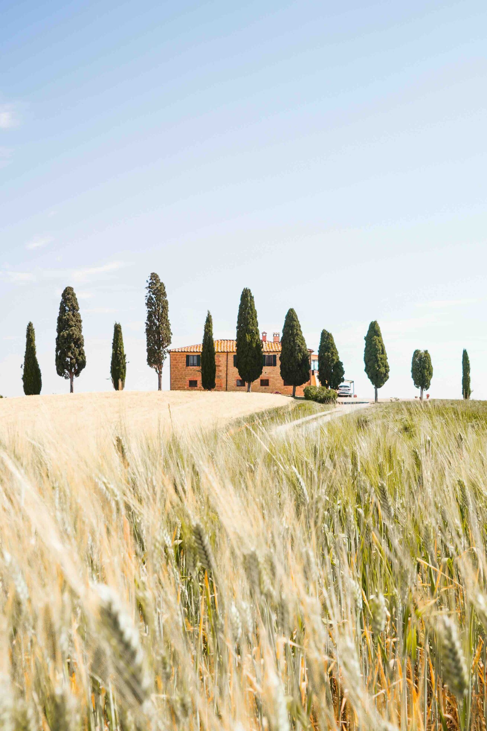 petite maison coline cypres champs toscane