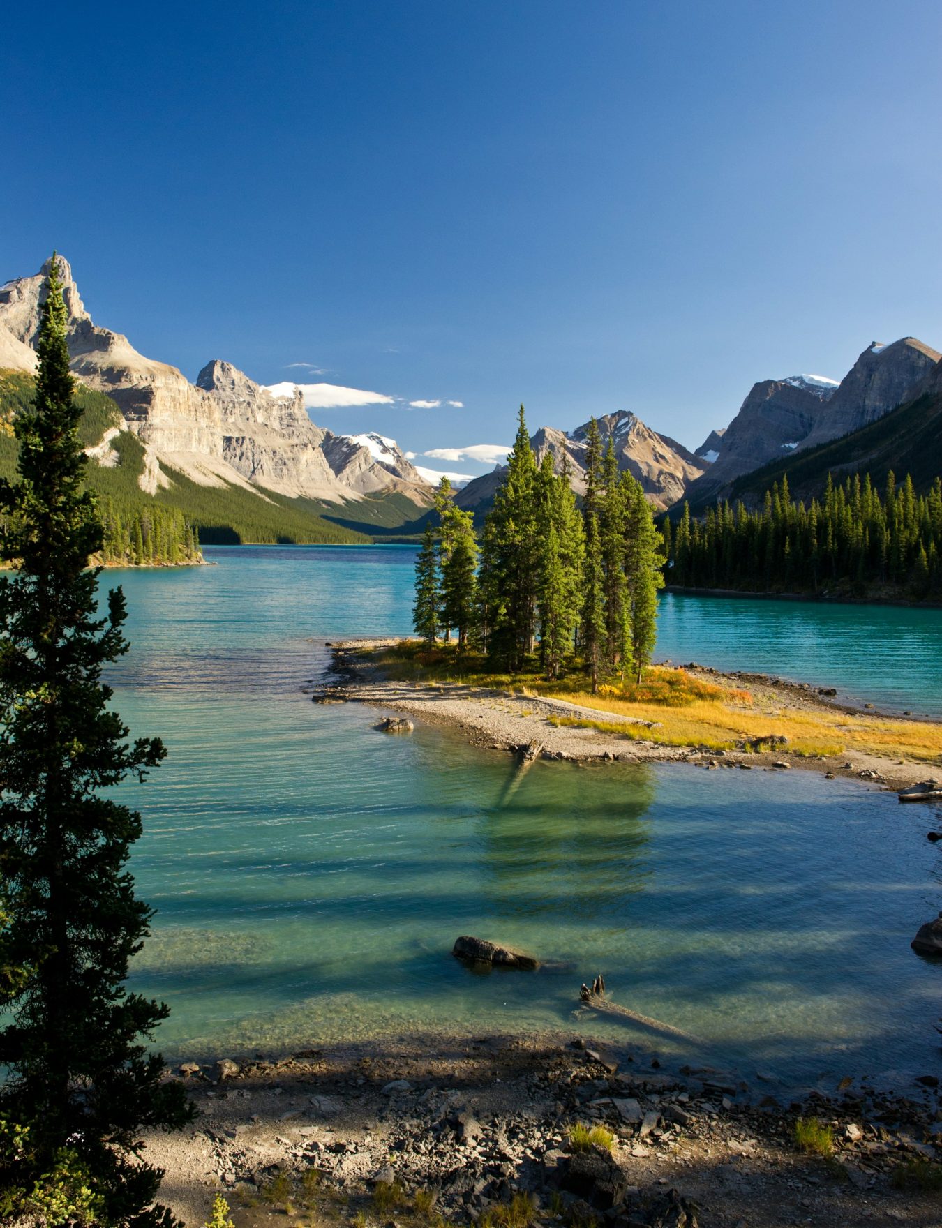 Lac turquoise entouré de montagnes et de forêts dans les Rocheuses canadiennes