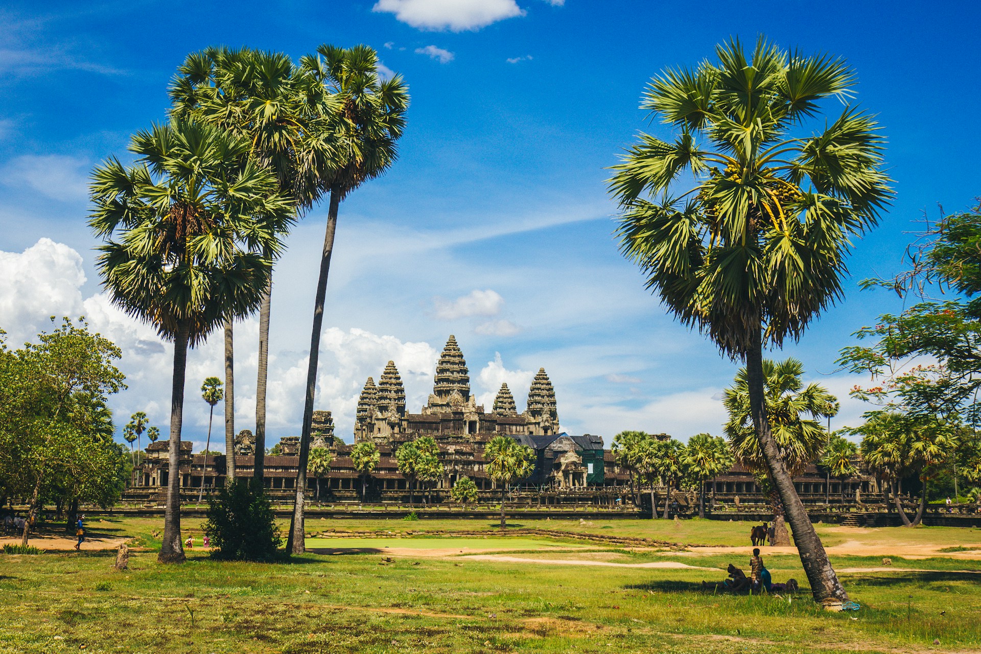 Temple d’Angkor Wat entouré de palmiers au Cambodge