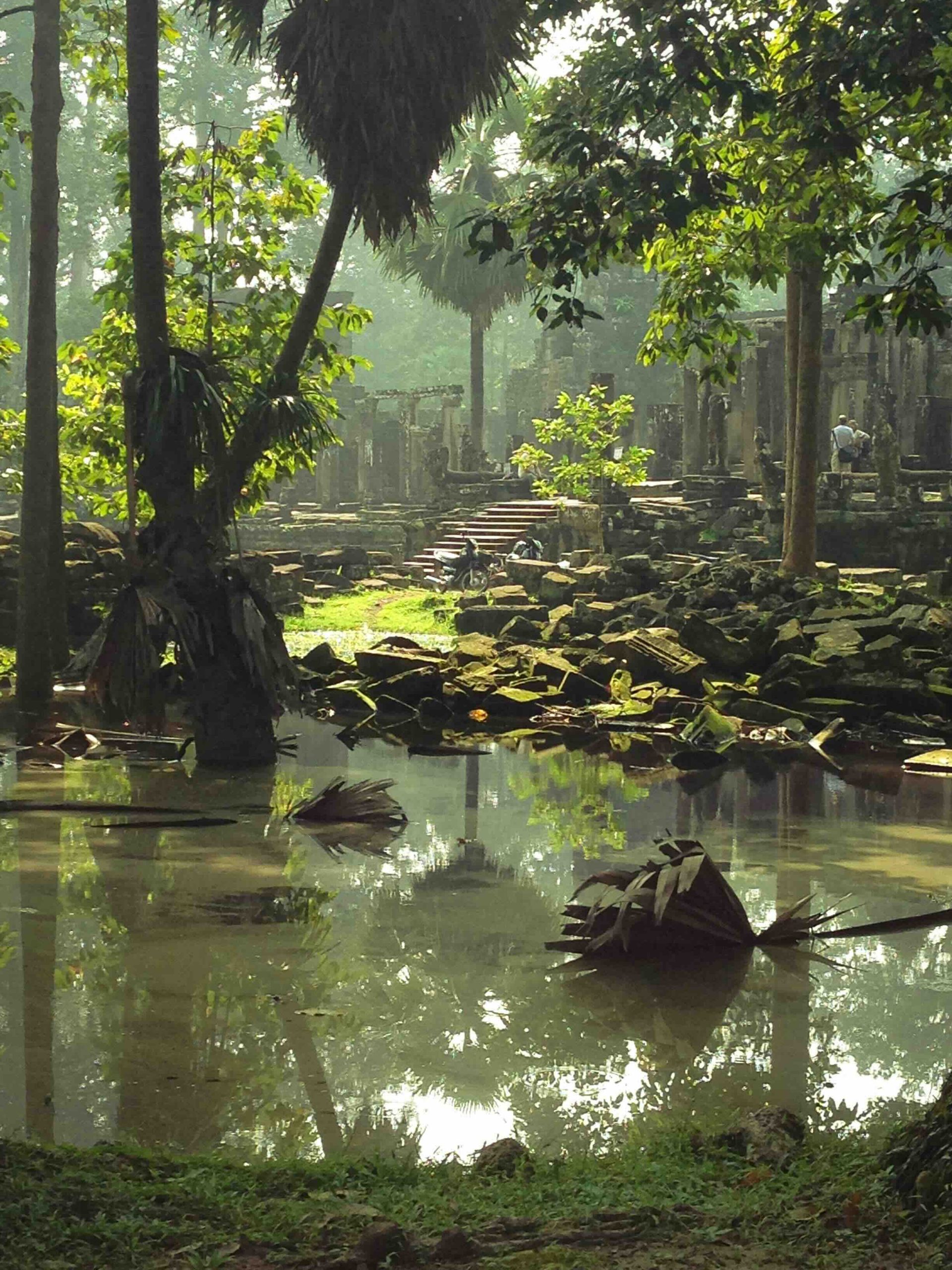 Vestiges d’un temple khmer entouré par la jungle au Cambodge
