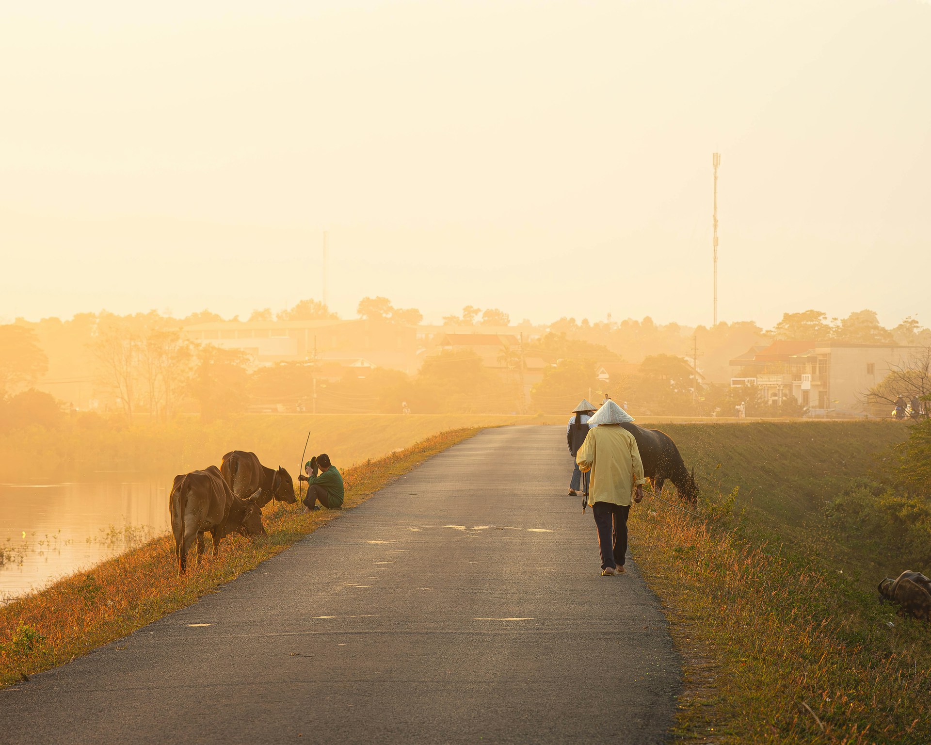 Scène de vie dans la campagne du delta du Mékong au coucher du soleil