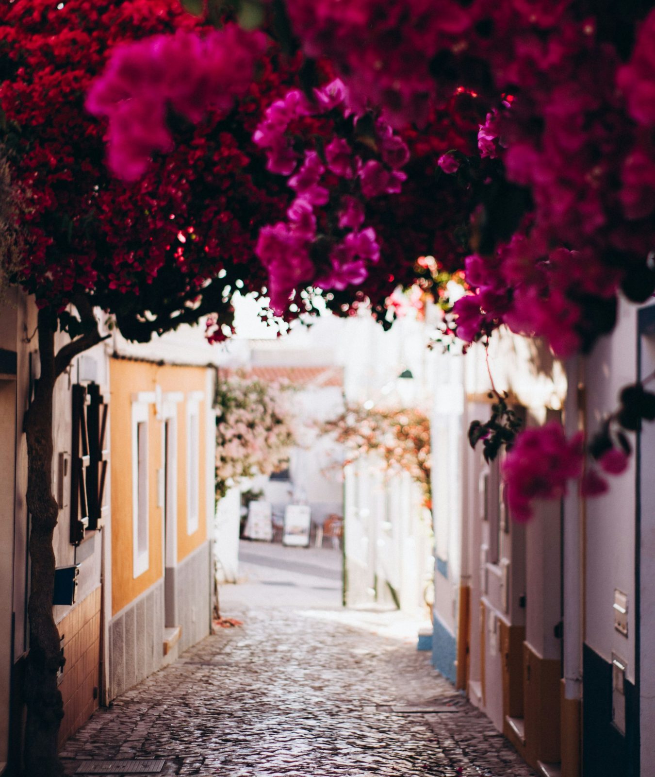 Ruelle fleurie aux maisons blanches dans un village de l’Algarve