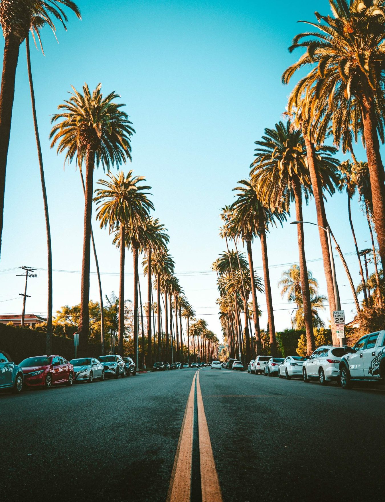 Avenue bordée de palmiers à Los Angeles en Californie
