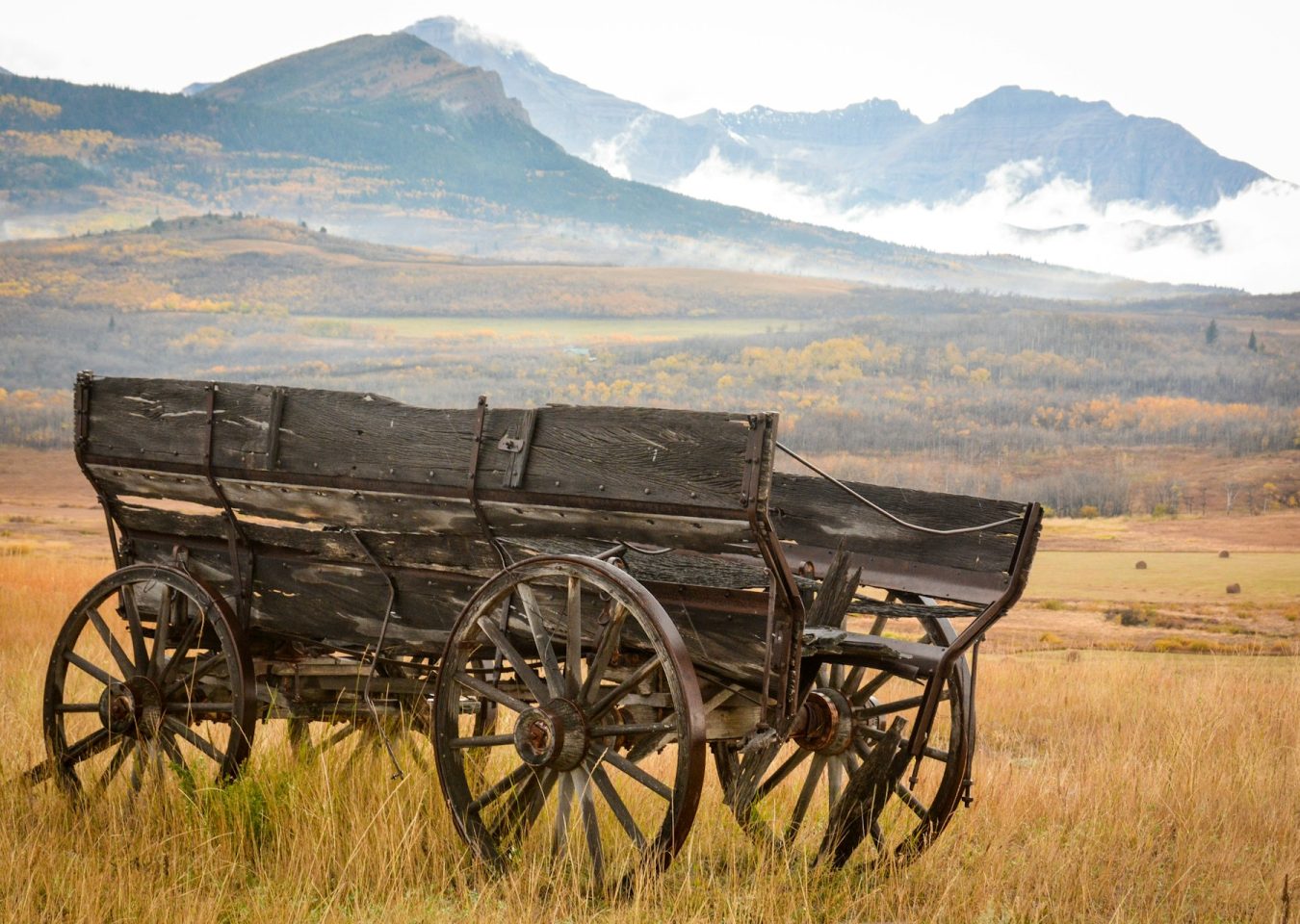 Ancien chariot dans les prairies face aux Rocheuses canadiennes en Alberta