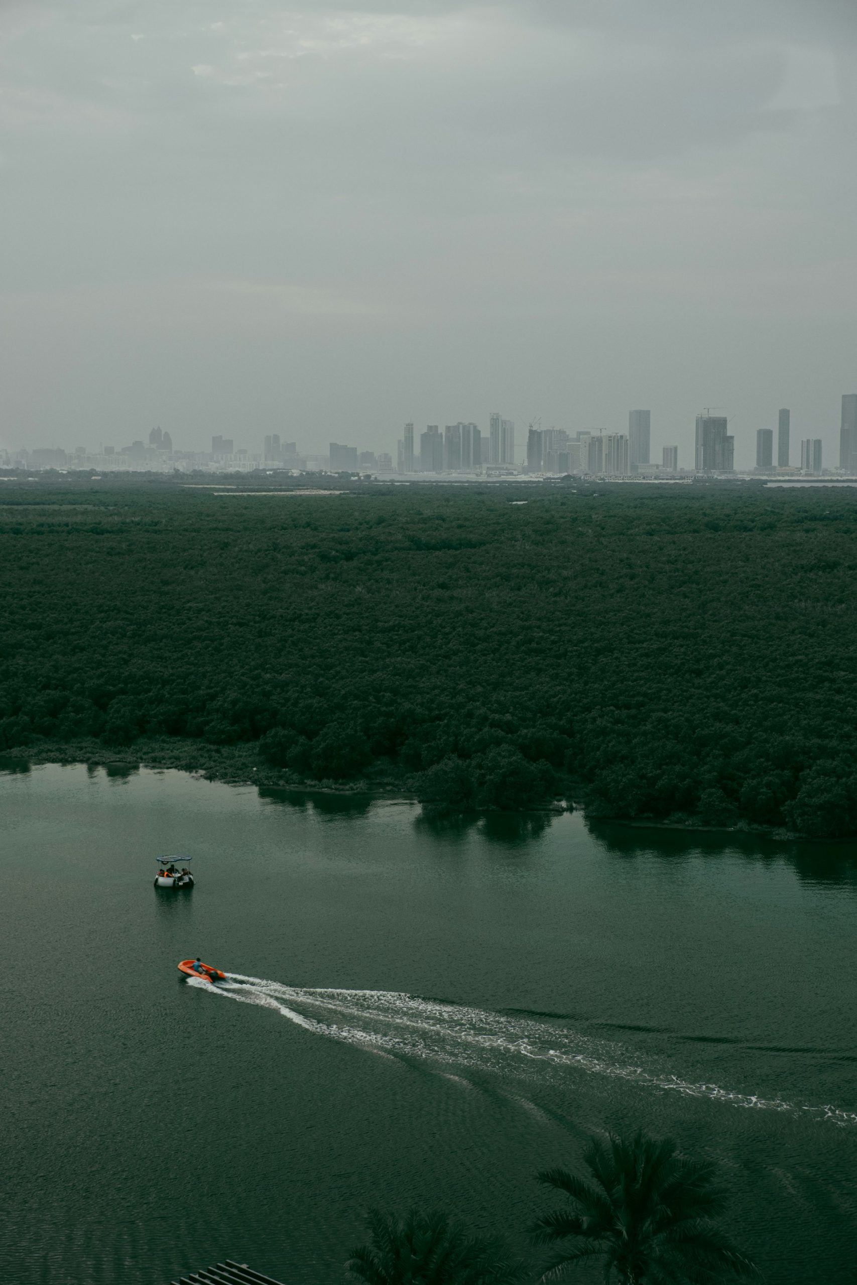 Mangrove d’Abu Dhabi avec la ville à l’horizon