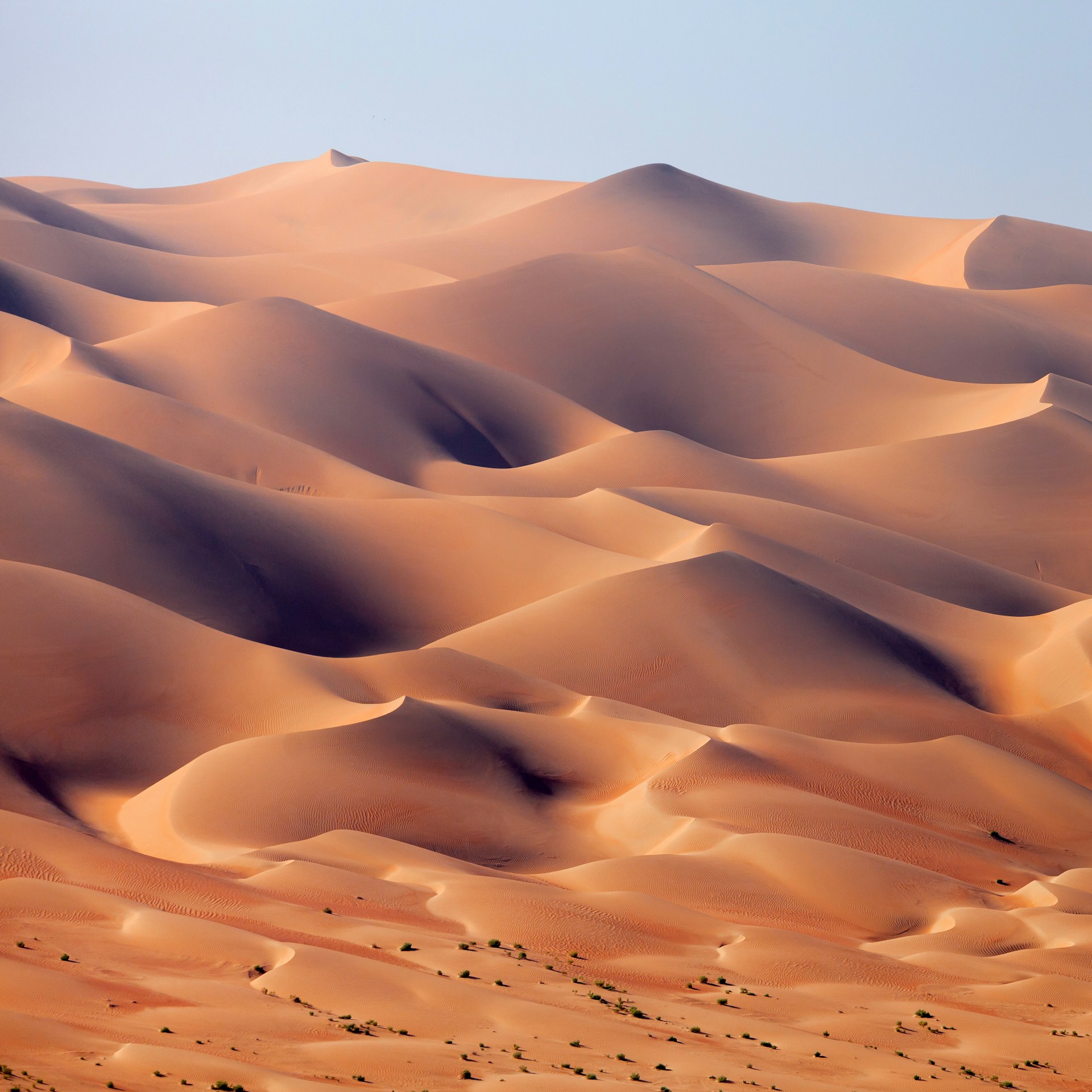 Grandes dunes de sable dans le désert d’Abu Dhabi